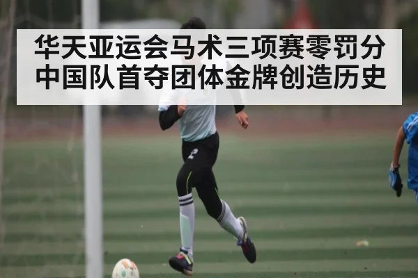 华天亚运会马术三项赛零罚分 中国队首夺团体金牌创造历史